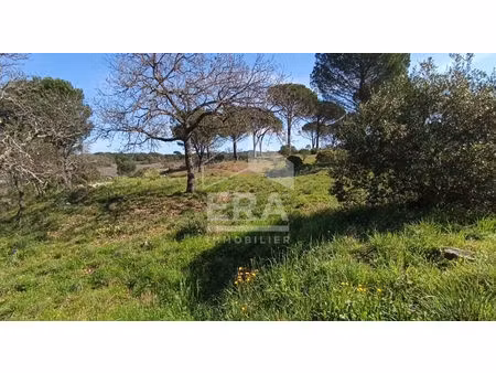 terrain vidauban +1500m²