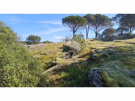 terrain vidauban +3000 m2