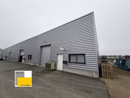location locaux professionnels 0 pièces 150 m² à saint-martin-des-champs (29600)  1 200 €