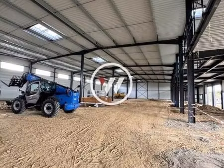 local d'activité 426 m²