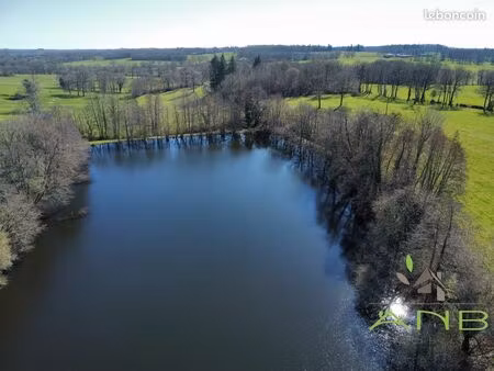 terrain 20000 m² mouzon