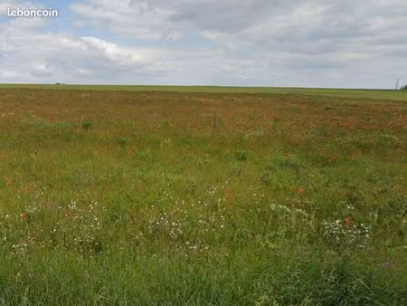 terrain 1 170 m² moulins sur yevre