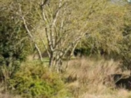 terrain de loisir