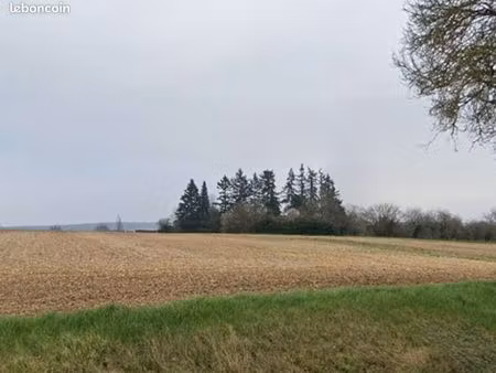 terrain 2 100 m² crezancy en sancerre