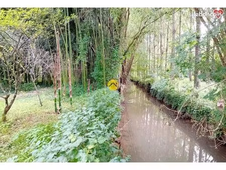 et au milieu coule la rivière