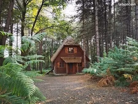 recherche cabane ou chalet dans les bois