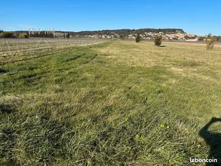 terrain agricole