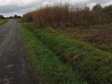 terrain agricole