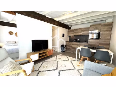 appartement andresy 1 pièce(s) 31m² rdc loué meublé