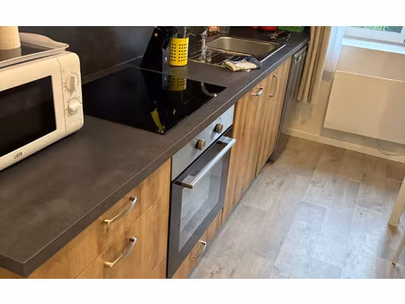 location appartement  29.11 m² t-2 à bourg-en-bresse  595 €
