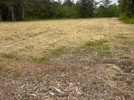 terrain 2000m2