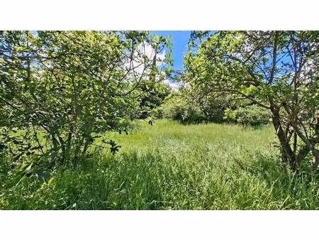 terrain à vendre