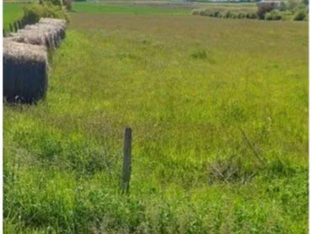 terrain agricole 10000 m2