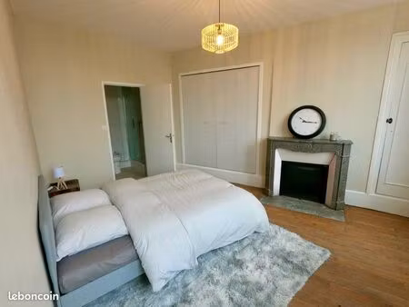 appartement rénové  en plein centre ville