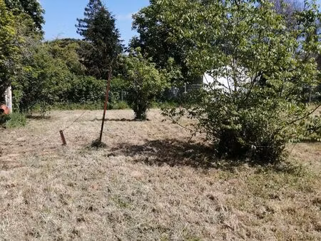 terrain brax