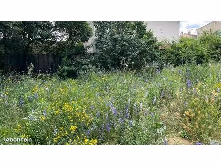 terrain 245 m² côte pavée