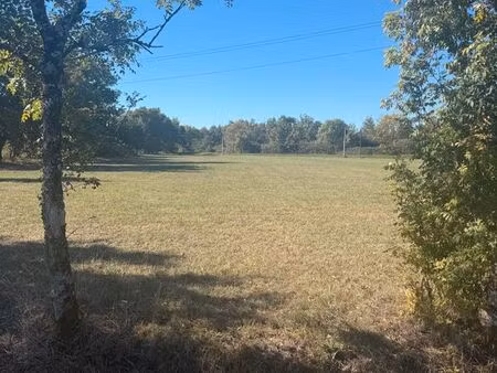 terrain agricole