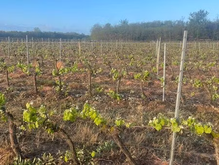 terrain agricole