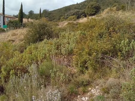 terrain 750m2