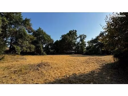 terrain 1216 m² lège-cap-ferret