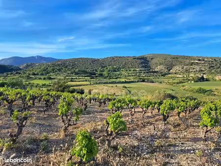terrain 2 425 m² montpeyroux