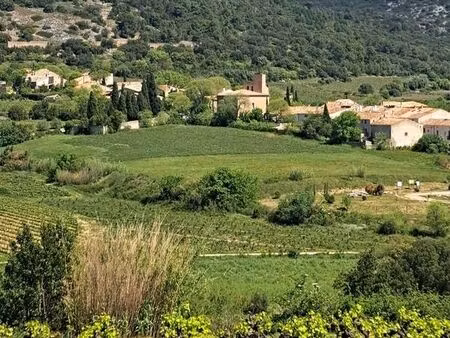 terrain 569 m² montpeyroux