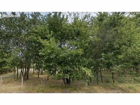terrain 808 m² gujan mestras