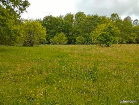 terrain agricole 4 ha 35 mn de bordeaux 10 mn des plages