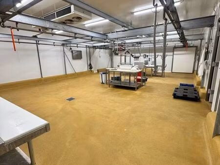 à vendre – fonds de commerce boucherie / grossiste viande – 520 m² – entièrement équipé – 