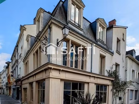 local 135 m² chinon