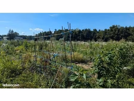 parcelle pour potager
