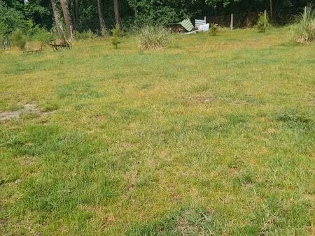 terrain 800 m2 labouheyre