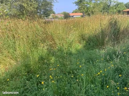 terrain 530 m² biscarrosse