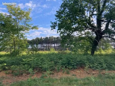terrain 500 m² sanguinet