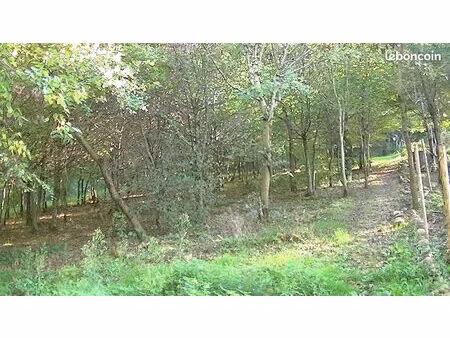 je loue un jardin-forêt de 6500 m²
