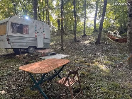 recherche parcelle forêt  nature  ombragé