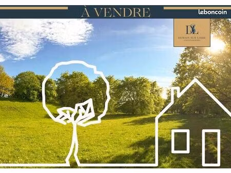terrain 1100 m² ouzouer le marche