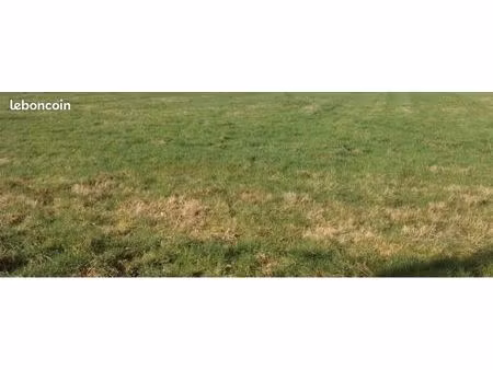recherche terrain de loisir ou agricole