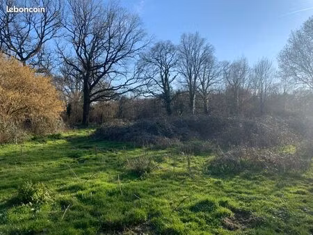 terrain agricole
