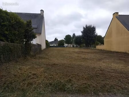 terrain immaculée