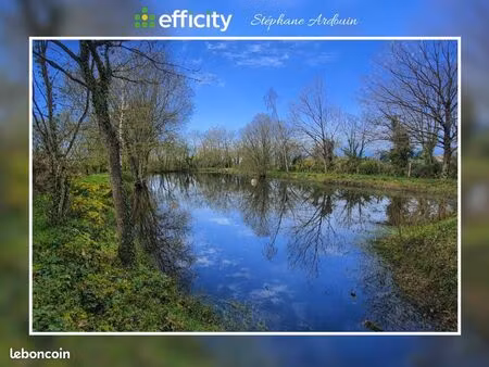 terrain 19 765 m² vallet