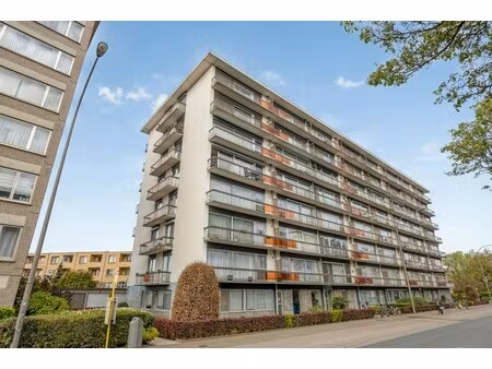 appartement met 3 kamers en 2 terrassen te koop in merksem