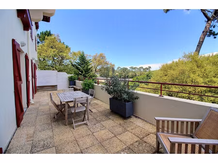 magnifique t3 avec grande terrasse
