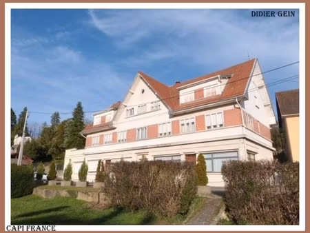 maison à vendre 29 pièces sarralbe (57)
