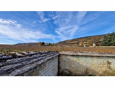 environnement exclusif tourné sur les vignes