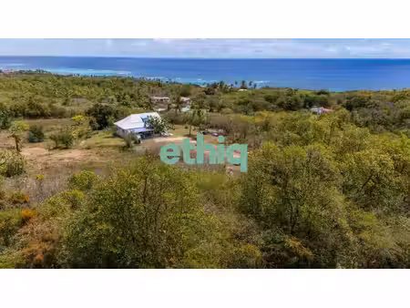 terrain vue mer marie galante