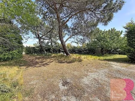 tournefeuille / la ramée : terrain plat de 590 m² avec un puit