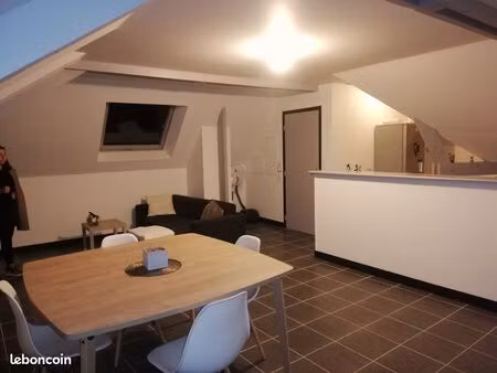 appartement t2 65m2 ( 45m2 loi carrez )