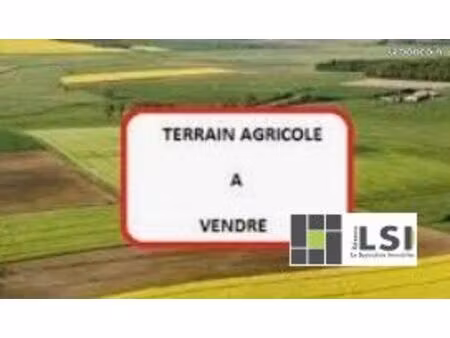 terrain 16910 m² laussonne
