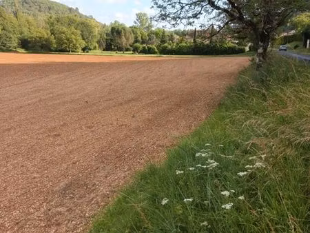 terrain agricole